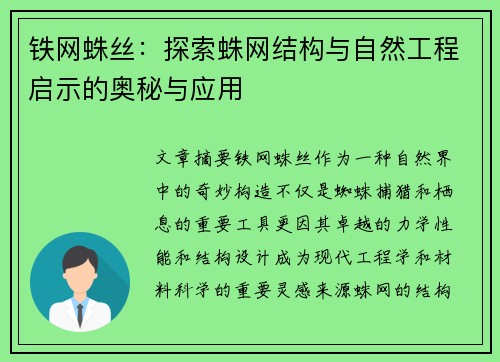 铁网蛛丝：探索蛛网结构与自然工程启示的奥秘与应用